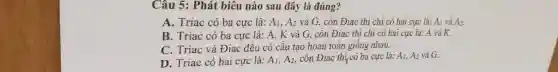 Câu 5: Phát biêu nào sau đây là đúng? A. Triac có ba cực là: A_(1),A_(2) và G , còn Điac thì chi có hai cực là: A_(1) và A_(2) . B. Triac có ba cực là: A,K và G , còn Điac thi chi có hai cực là: A và K . C. Triac và Điac đều có cấu tạo hoàn toàn giống nhau. D. Triac có hai cực là: A_(1),A_(2) , còn Điac thi, có ba cực là: A_(1),A_(2) và G ,