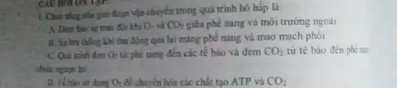 1. Chức nǎng của giai đoạn vận chuyển trong quá trình hô hấp là:
A. Đàm bảo sự trao đôi khi O_(2) và CO_(2) giữa phế nang và môi trường ngoài
B. Sis furu thong khi thu động qua lại mảng phê nang và mao mạch phôi
C. Qui trinh đưa O_(2) từ phể nǎng đến các tế bào và đem CO_(2) từ tế bào đến phê nam
chiều ngược lại
D. Tế tủo sứ dung O_(2) để chuyển hóa các chất tạo ATP và CO_(2)