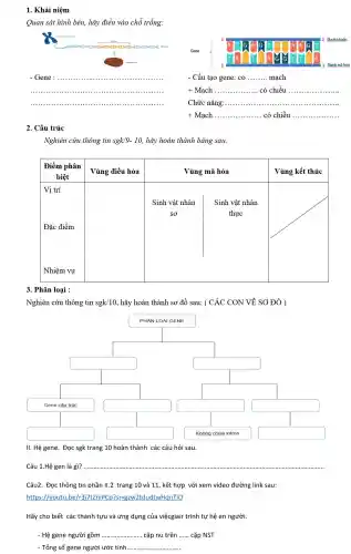 1. Khái niệm
Quan sát hình bên,hãy điền vào chỗ trống:
protein
__
...................................................................... ......................................................................
- Gene : ............(1111).......
.........	......................................................................
3	5 Mach khuôn
Gene
T A C
5
A G TT C A
3' Mach mã hoá
- Cấu tạo gene: có __ mạch
__ có chiều __
Chức nǎng: __
+ Mạch __ có chiều __
2. Cấu trúc
Nghiên cứu thông tin sgk (9-10, hãy hoàn thành bảng sau:
Vùng kết thúc
square 
square 
3. Phân loại :
Nghiên cứu thông tin sgk/10 , hãy hoàn thành sơ đồ sau: ( CÁC CON VẺ SỐ ĐÓ )
square 
square 
square 
square 
square 
square 
square 
square 
square 
square 
Câu 1.Hệ gen là gì? __
Câu2. Đọc thông tin phần II.2 trang 10 và 11, kết hợp với xem video đường link sau:
https://youtu.be/r?317tZniPCo?Si=gzw2tdudtwHanTlO
Hãy cho biết các thành tựu và ứng dụng của việcgiair trình tự hệ en người.
- Hệ gene người gồm __ cặp nu trên __ cặp NST
- Tổng số gene người ước tính __