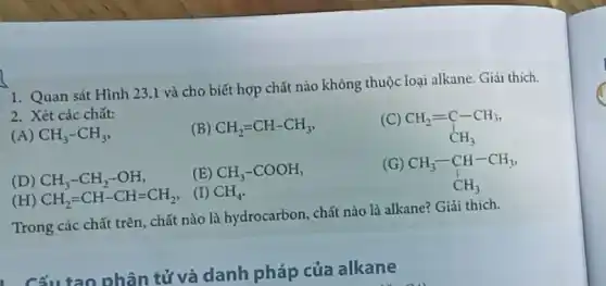 1. Quan sát Hình 23.1 và cho biết hợp chất nào không thuộc loại alkane. Giải thich.
2. Xét các chất:
(A) CH_(3)-CH_(3)
(B) CH_(2)=CH-CH_(3)
(C)
CH_(2)=C-CH_(3), CH_(3)
(D) CH_(3)-CH_(2)-OH
(E) CH_(3)-COOH
(G)
CH_(3)-CH-CH_(3) CH_(3)
(H) CH_(2)=CH-CH=CH_(2)
(I) CH_(4)
Trong các chất trên chất nào là hydrocarbon , chất nào là alkane?Giải thích.
. Cấu tao phân tử và danh pháp của alkane