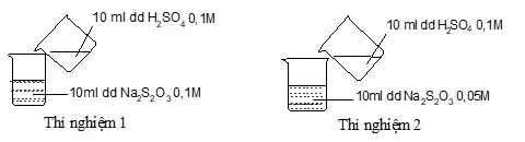 10 ml dd H_(2)SO_(4) 0. 1M
10 ml dd H_(2)SO_(4) 0,1M
- 10ml dd Na_(2)S_(2)O_(3) 0.1M	. 10ml dd Na_(2)S_(2)O_(3) 0, 05M
Thi nghiệm 1	Thi nghiệm 2