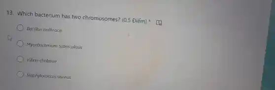 13 . Which bacterium has two chromosomes?(0.5 Điểm)
) Bacillus anthracis
Mycobacterium tuberculosis
Vibrio cholerae
Staphylococcus aureus