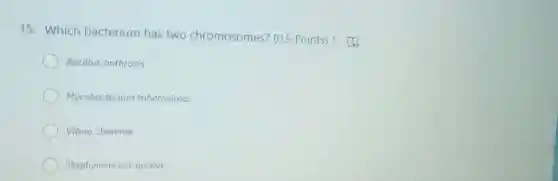 15. Which bacterium has two chromosomes? (0.5 Points)
Bacillus anthracis
Mycobacterium tuberculosis
Vibrio cholerae
Staphylococcus aureus