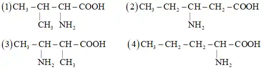 (1)
CH_(3)-CH-CH-COOH CH_(3)NH_(2)
(
CH_(3)-CH_(2)-CH-CH_(2)-COOH NH_(2)
(3)
CH_(3)-CH-CH-COOH NH_(2)CH_(3)
(4)
CH_(3)-CH_(2)-CH_(2)-CH-COOH NH_(2)