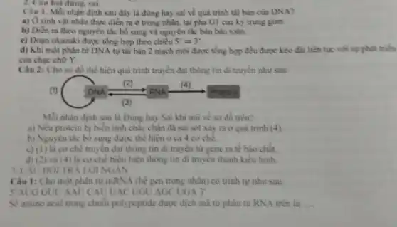 2. Câu hỏi đúng . sai
Câu 1. Mỗi nhận định sau đây là đủng hay sai về quá trình tái bản của DNA?
a) Ở sinh vật nhân thực diễn ra ở trong nhân, tại pha G1 cùa kỳ trung gian.
b) Diền ra theo nguyên tắc bổ sung và nguyên tắc bán bảo toàn.
c) Doạn okazaki được tổng hợp theo chiều 5'Longrightarrow 3'
d) Khi một phản từ DNA tự tải bàn 2 mạch mới được tổng hợp đều được kéo đài liên tục với sự
của chạc chữ Y.
Câu 2: Cho so đồ thể hiện quả trình truyền đạt thông tin di truyền như sau:
Mỗi nhận định sau là Đúng hay Sai khi nói về so đồ trên?
a) Nếu protein bị biển tinh chắc chắn đã sai sót xảy ra ở quá trình (4)
b) Nguyên tâc bô sung được thế hiện ở cả 4 cơ chê.
c) (I) là cơ chê truyền đạt thông tin di truyền từ gene ra tê bảo chất.
d) (2) và (4)là cơ chế biểu hiện thông tin di truyền thành kiểu hình.
3. CẤU HOI TRA LỚI NGAN
Câu 1: Cho một phân tử mRNA (bệ gen trong nhân) có trình tự nhu sau:
S'AUG GUU AAU CAU UAC UGU AGC UGA 3'
So amino acid trong chuỗi polypeptide được dịch ml từ phân từ RNA trên là