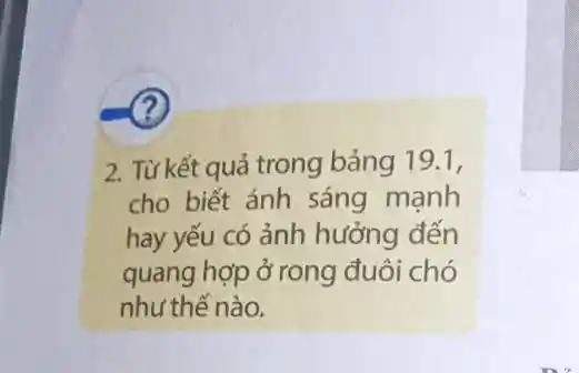 ?
2. Từ kết quả trong bảng 19.1,
cho biết ánh sáng mạnh
hay yếu có ảnh hưởng đến
quang hợp ở rong đuôi chó
như thế nào.