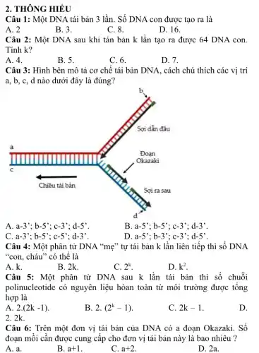 2. THÔNG HIỂU
Câu 1: Một DNA tái bản 3 lần . Số DNA con được tạo ra là
A. 2
B. 3.
C. 8.
D. 16.
Câu 2: Một DNA sau khi tán bản k lần tạo ra được 64 DNA con.
Tính k?
A. 4.
B. 5.
C. 6.
D. 7.
Câu 3: Hình bên mô tả cơ chế tái bản DNA, cách chú thích các vị trí
a, b, c, d nào dưới đây là đúng?
A a-3';b-5';c-3';d-5'
B a-5';b-5';c-3';d-3'
C a-3';b-5';c-5';d-3
D a-5';b-3';c-3';d-5'
Câu 4: Một phân tử DNA "mẹ" tự tái bản k lần liên tiếp thì số DNA
"con, cháu" có thể là
A. k.
B. 2k.
C. 2^k
D. k^2
Câu 5: Một phân tử DNA sau k lần tái bản thì số chuỗi
polinucleotide có nguyên liệu hòan toàn từ môi trường được tông
hợp là
A 2.(2k-1)
B. 2. (2^k-1)
C. 2k-1
D.
2. 2k.
Câu 6: Trên một đơn vị tái bản của DNA có a đoạn Okazaki. Số
đoạn môi cân được cung cấp cho đơn vị tái bản này là bao nhiêu ?
A. a.
B. a+1
C. a+2
D. 2a.