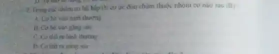 2. Trong các nhôm cơ hô hấp thì cơ ức đòn chùm thuộc nhóm cơ nào sau đây:
A. Cơhit vào bình thường
B. Cơ hit vào gǎng sức
C. Cơ thờ n binh thường
D. Cothora gang sire