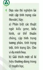 4 Dựa vào thí nghiệm lai
một cặp tính trạng của
Mendel, hãy:
a) Phân biệt các thuật
ngữ: kiểu gene, kiểu
hình, cơ thế thuần
chủng, cặp tính trạng
tương phản, tính trạng
trội, tính trạng lặn.Cho
ví dụ minh hoa.
b) Giải thích một số kí
hiệu thường dùng trong
di truyến học.