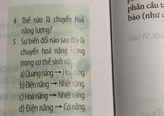 4 Thế nào là chuyển hoá
nǎng lượng?
5 Sự biến đổi nào sau đây là
chuyển hoá nǎng iu mg
trong cơ thể sinh vật:
a) Quang nǎng ­­­­→
b) Điện nǎng - Nhiệt nǎng
c) Hoá nǎng ­­­­→Nhiệt nǎng.
d) Điện nǎng - Cơ nǎng.
phần cấu t:
bào (như (