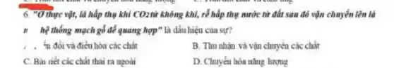 6. "O thực vật, là hấp thụ khi COztừ không khi, rễ hấp thụ nước từ đất sau đó vận chuyến lên là
II hệ thống mạch gố để quang hợp" là dấu hiệu cua sư?
1. 4n đỏi và điều hòa các chất
B. Thu nhàn và vận chuyển các chất
C. Bài riét các chất thải ra ngoài
D. Chuyểu hóa nǎng lượng