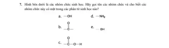 7. Hình bên dưới là các nhóm chức sinh học. Hãy gọi tên các nhóm chức và cho biết các
nhóm chức này có mặt trong các phân từ sinh học nào?
a. -OH
d. -NH_(2)
b. 0 -C-
e.
-SH
c.
8 o H