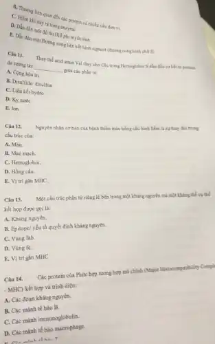 B. Thường liên quan đến các protein có nhiều tiểu đơn vị.
C.Dẫn chi xảy ra trong enzyme.
D. Dẫn đến một đồ thị Hill phi tuyến tính.
E. Dẫn đến một Đường cong liên kết hình sigmoit (đường cong hinh chữ S)
Câu 11.
Thay thế acid amin Val thay cho Glu trong Hemoglobin S dẫn đến sự kết tq protein
do tương tác
__
giữa các phân tử.
A. Cộng hóa trị
B. Disulfide/ disulfua
C. Liên kết hydro
D. Ky nước
E. Ion
Câu 12. Nguyên nhân cơ bản của bệnh thiếu máu hồng cầu hình liềm là sự thay đổi trong
cấu trúc của:
A. Máu.
B. Mao mạch.
C. Hemoglobin.
D. Hồng cầu.
E. Vị trí gắn MHC
Câu 13.
Một cấu trúc phân từ riêng lẻ bên trong một kháng nguyên mà một kháng thể cụ thế
kết hợp được gọi là:
A. Kháng nguyên.
B. Epitope/ yếu tố quyết định kháng nguyên.
C. Vùng fab.
D. Vùng fC.
E. Vị trí gắn MHC
Câu 14.
Các protein của Phức hợp tương hợp mô chính (Major Histocompatibility Compl
-MHC)
kết hợp và trình diện:
A. Các đoạn kháng nguyên.
B. Các mảnh tế bào B.
C. Các mảnh immunoglobulin
D. Các mảnh tế bào macrophage.