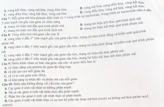 B. vùng mã hoá , vùng điều hòa , vùng kết thúC.
D vùng điều hòa , vùng mã hóa , vùng kết thúC.
A. vùng kết thúc , vùng mã hóa , vùng điều hòa.
C. vùng điều hòa , vùng kết thúc , vùng mã hóa.
Câu 7:Mỗi gene mã hóa protein điền hình có 3 vùng trình tự nucleotide . Vùng trình tự nucleotide nằm ở đầu
5' trên mạch mã gốc của gene có chức nǎng
A. mang tín hiệu mở đầu quá trình phiên mã.
B. mang tín hiệu kết thúc quá trình dịch mã
C. mang tín hiệu mở đầu quá trình dịch mã.
D. mang tín hiệu kết thúc quá trình phiên mã.
Câu 8:Vùng điều hòa của gene cấu trúc là
A. vùng nằm ở đầu 3''
trên mạch gốc của gene cấu trúc , mang tin hiệu khởi động và kiểm soát quá trình
phiên mã.
mã.
B. vùng nằm ở đầu 5'
trên mạch gốc của gene cấu trúc , mang tín hiệu khởi động và kiểm soát quá trình
C. vùng nằm ở đầu 3'
trên mạch gốc của gene cấu trúc , mang tín hiệu kết thúc phiên mã.
D. vùng nằm ở đầu 5'
trên mạch gốc của gene cấu trúc mang tín hiệu kết thúc kết thúc phiên mã.
Câu 9:Điềm khác nhau cơ bản của gene cấu trúc và gene điều hòa là
A. về chức nǎng của protein do gene đỏ tổng hợp.
B. về cấu tạo của môi gene đó.
C. vê vị trí của gene trên DNA
D. vê khả nǎng tự nhân đôi và phiên mã của mỗi gene.
Câu 10: Điều nào không đúng với cấu trúc của gene?
A. Các gene ở sinh vật nhân sơ không phân mảnh.
B. Tất cả các gene ở sinh vật nhân thực đều phân mảnh.
C. Phần lớn các gene ở sinh vật nhân thực có phân mảnh.
D. Các gene ở sinh vật nhân thực có sự xen kẽ giữa các đoạn mã hóa (exon)) và không mã hóa amino acid