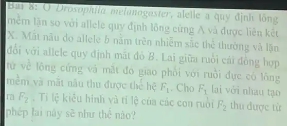 Bài 8:Drosophila melanogaster alelle a quy định lông
mêm lặn so với allele quy định lông cứng A và được liên kết
X. Mắt nâu do allele b nǎm trên nhiềm sắc thể thường và lặn
đối với allele quy định mắt đỏ B . Lai giữa ruồi cái đông hợp
tử về lông cứng và mǎt đỏ giao phối với ruồi đưc có lông
mêm và mắt nâu thu được thế hệ F_(1) Cho F_(1) lai với nhau tạo
ra F_(2) . Tỉ lệ kiểu hình và tỉ lệ của các con ruồi
F_(2) thu được từ
phép lai này sẽ như thế nào?