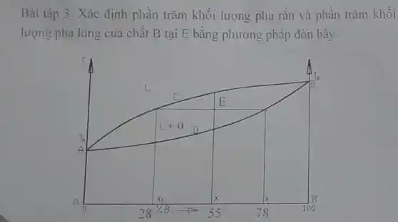 Bài tập 3: Xác định phần trǎm khối lượng pha rǎn và phân trǎm khối
lượng pha lòng của chất B tai E bằng phương pháp đòn bây.
square