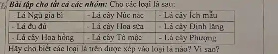 Bài tập cho tất cả các nhóm: Cho các loại lá sau:

 - Lá Ngũ gia bì & - Lá cây Núc nác & - Lá cây Ích mẫu 
 - Lá đu đủ & - Lá cây Hoa sữa & - Lá cây Đinh lăng 
 - Lá cây Hoa hồng & - Lá cây Tô mộc & - Lá cây Phượng 


Hãy cho biết các loại lá trên được xếp vào loại lá nào? Vì sao?