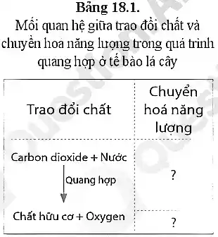 Bảng 18.1.
Mối quan hệ giữa trao đôi chất và
chuyển hoa nǎng lượng trong quá trình
quang hợp ở tế bào lá cây
Trao đổi chất
Carbon dioxide + Nuacute (hat (o))c Quang hunderset (.)(hat (o))c hat {
Chacute (a)thacute (u)uco+Oxygen
Chuyển
hoá nǎng
lượng
?
?