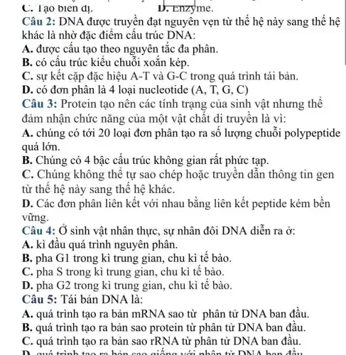 C. Tạo biển dị
Câu 2: DNA được truyên đạt nguyên vẹn từ thế hệ này sang thế hệ
khác là nhờ đặc điêm câu trúc DNA:
A. được cấu tạo theo nguyên tắc đa phân.
B. có câu trúc kiểu chuỗi xoǎn kép.
C. sự kết cặp đặc hiệu A-T và G-C trong quá trình tái bản.
D. có đơn phân là 4 loại nucleotide (A,T,G,C)
Câu 3: Protein tạo nên các tính trạng của sinh vật nhưng thê
đảm nhân chức nǎng của một vật chất di truyền là vì:
A. chúng có tới 20 loại đơn phân tạo ra sô lượng chuỗi polypeptide
quá lớn.
B. Chúng có 4 bậc cấu trúc không gian rất phức tạp.
C. Chúng không thê tự sao chép hoặc truyền dân thông tin gen
từ thế hệ này sang thế hệ kháC.
D. Các đơn phân liên kết với nhau bằng liên kết peptide kém bền
vững.
Câu 4: Ở sinh vật nhân thực, sự nhân đôi DNA diễn ra ở:
A. kì đâu quá trình nguyên phân.
B. pha G1 trong kì trung gian, chu kì tế bào.
C. pha S trong kì trung gian, chu kì tế bào.
D. pha G2 trong kì trung gian, chu kì tế bào.
Câu 5: Tái bản DNA là:
A. quá trình tạo ra bản mRNA sao từ phân tử DNA ban đầu.
B. quá trình tạo ra bản sao protein từ phân tử DNA ban đầu.
C. quá trình tạo ra bản sao rRNA từ phân tử DNA ban đâu.
D. quá trình too to hỏn cao giốn r với nhân tử DNA hon đầu