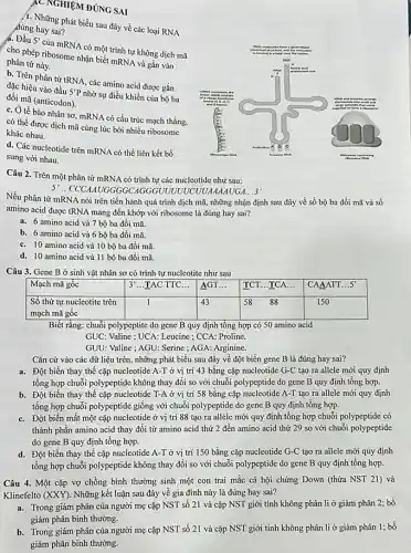 C NGHIỆM ĐÚNG SAI
A. Những phát biểu sau đây về các loại RNA
đúng hay sai?
a. Dâu 5' của mRNA có một trình tự không dịch mã
cho phép ribosome nhận biết mRNA và gắn vào
phân tử này.
b. Trên phân tử tRNA, các amino acid được gắn
đặc hiệu vào đầu 5'P nhờ sự điều khiển của bộ ba
đối mã (anticodon).
C. Ở tế bào nhân sơ mRNA có cấu trúc mạch thǎng,
có thể được dịch mã cùng lúc bởi nhiều ribosome
khác nhau.
d. Các nucleotide trên mRNA có thể liên kết bổ
sung với nhau.
Câu 2. Trên một phân tử mRNA có trình tự các nucleotide như sau:
5'. - CCCAMUGGGGCAGGGUUUVUVCUU/MANUGA .3
Nếu phân tử mRNA nói trên tiến hành quá trình dịch mã,những nhận định sau đây về số bộ ba đối mã và số
amino acid được tRNA mang đến khớp với ribosome là đúng hay sai?
a. 6 amino acid và 7 bộ ba đối mã.
b. 6 amino acid và 6 bộ ba đối mã.
C. 10 amino acid và 10 bộ ba đối mã.
d. 10 amino acid và 11 bộ ba đối mã.
Câu 3. Gene B ở sinh vật nhân sơ có trình tự nucleotite như sau
Mạch mã gốc	3'...TAC TTC... underline (AGTldots )
square 
Biết rằng: chuỗi polypeptite do gene B quy định tổng hợp có 50 amino acid
GUC: Valine ; UCA:Leucine ; CCA: Proline.
GUU: Valine ; AGU:Serine ; AGA: Arginine.
Cǎn cứ vào các dữ liệu trên, những phát biểu sau đây về đột biến gene B là đúng hay sai?
a. Đột biến thay thế cặp nucleotide A-T ở vị trí 43 bằng cặp nucleotide G-C tạo ra allele mới quy định
tổng hợp chuỗi polypeptide không thay đổi so với chuỗi polypeptide do gene B quy định tổng hợp.
b. Đột biến thay thế cặp nucleotide T-A ở vị trí 58 bằng cặp nucleotide A-T tạo ra allele mới quy định
tổng hợp chuỗi polypeptide giống với chuỗi polypeptide do gene B quy định tổng hợp.
C. Đột biến mất một cặp nucleotide ở vị trí 88 tạo ra allele mới quy định tổng hợp chuỗi polypeptide có
thành phần amino acid thay đổi từ amino acid thứ 2 đến amino acid thứ 29 so với chuỗi polypeptide
do gene B quy định tổng hợp.
d. Đột biến thay thế cặp nucleotide A-T ở vị trí 150 bằng cặp nucleotide G-C tạo ra allele mới quy định
tổng hợp chuỗi polypeptide không thay đổi so với chuỗi polypeptide do gene B quy định tổng hợp.
Câu 4. Một cặp vợ chồng bình thường sinh một con trai mắc cả hội chứng Down (thừa NST 21)và
Klinefelto (XXY). Những kết luận sau đây về gia đình này là đúng hay sai?
a. Trong giảm phân của người mẹ cặp NST số 21 và cặp NST giới tính không phân li ở giảm phân 2; bố
giảm phân bình thường.
b. Trong giảm phân của người mẹ cặp NST số 21 và cặp NST giới tính không phân li ở giảm phân 1; bố
giảm phân bình thường.