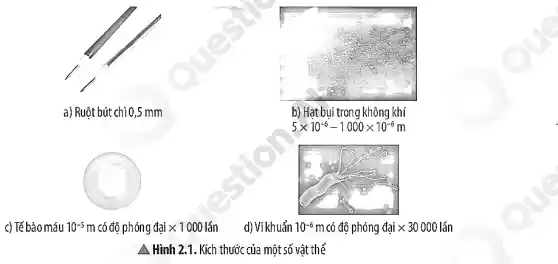 c) Tế bào máu 10^-5m có độ phóng đại x 1000 lấn d) Vi khuẩn 10^-6 m có đô phacute (o)ng dunderset (.)(a)itimes 30000lacute (hat (a))n
A Hình 2.1. Kích thước của một số vật thẻ