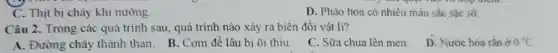 C. Thịt bị chảy khi nướng.
D. Pháo hoa có nhiều màu sắc sắc số.
Câu 2. Trong các quá trình sau, quá trình nào xảy ra biến đổi vật li?
A. Đường cháy thành than. B. Cơm để lâu bị ôi thiu.
C. Sữa chua lên men
D. Nước hóa rắn ở 0^circ C