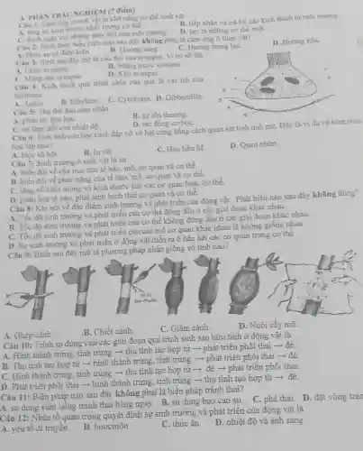 Câu 1: Càm the ở sinh vật là khà nǎng cơ thể sinh vật
A. tang ve kich thước, khối lượng cơ thể.
B. tiếp nhận và trả lời các kích thích từ môi trường.
C. thich nghi với những thay đổi của môi trường.
D. tạo ra những cơ thế mới.
A. PHAN TRÁC NGHIỆM (7 điểm)
Câu 2: Hinh thine biểu hiện nào sau đây không phải là cảm ứng ở thực vật?
D. Hướng hóa.
B. Hướng sáng.
C. Hướng trọng lựC.
A. Phàn xạcó điều kiện.
Càu 4: Kich thích quá trình chín của quả là vai trò của
hormone
A. Auxin B. Ethylene.
C. Cytokinin. D Gibberellin.
Câu 3: Hình sau đây mô tả cấu tạo của synapse. Vị trí số 3 là
A. Chùy synapse.
B. Màng trước synapse.
C. Mang sau synapse.
D. Khe synapse.
A. phân từ hóa họC.
C. sự thay đồi của nhiệt độ.
D. tác động cơ họC.
Câu 6: Tinh tinh con học cách đập vỡ vỏ hạt cứng bằng cách quan sát tinh tinh mẹ. Đây là ví dụ về hình thức
học tập nào?
A. Học xã hội.
B. In vết.
C. Học liên hệ.
D. Quen nhờn.
Câu 5: Thụ thể đau cảm nhận
B. sự tồn thương.
Câu 7: Sinh trường ở sinh vật là sự
A. biến đồi về cấu trúc của tế bào, mô, cơ quan và cơ thể.
B. biến đổi về chức nǎng của tế bào, mô, cơ quan và cơ thể.
C. tǎng về khối lượng và kích thước của các cơ quan hoǎc cơ thể.
D. phân hóa tế bào, phát sinh hình thái cơ quan và cơ thể.
Câu 8: Khi nói về đặc điểm sinh trưởng và phát triển của động vật. Phát biểu nào sau đây không đúng?
A. Tốc độ sinh trưởng và phát triển của cơ thể đồng đều ở các giai đoạn khác nhau.
B. Tốc độ sinh trường và phát triển của cơ thể không đồng đều ở các giai đoạn khác nhau.
C. Tốc độ sinh trưởng và phát triển của các mô cơ quan khác nhau là không giống nhau
D. Sự sinh trường và phát triển ở động vật diễn ra ở hầu hết các cơ quan trong cơ thể
Câu 9: Hình sau đây mô tả phương pháp nhân giống vô tính nào?
B. Chiết cành.
C. Giâm cành.
D. Nuôi cấy mô.
A. Ghép cành
Câu 10: Trình tự đúng của các giai đoạn quá trình sinh sản hữu tính ở động vật là
A. Hình thành trứng tinh trùng ­­­­→ thụ tinh tạo hợp từ ­­­­→ phát triển phôi thai ­­­­→ đê.
B. Thụ tinh tạo hợp tử ­­­­→ hình thành trứng, tinh trùng ­­­­→ phát triển phôi thai ­­­­→ đẻ.
C. Hình thành trứng tinh trùng ­­­­→ thụ tinh tạo hợp từ ­­­­→ đẻ ­­­­→ phát triển phôi thai.
D. Phát triển phôi thai ­­­­→ hình thành trứng, tinh trùng -thụ tinh tạo hợp tử ­­­­→ đẻ.
Câu 11: Biện pháp nào sau đây không phải là biện pháp tránh thai?
A. sử dụng viên uống tránh thai hàng ngày. B. sừ dụng bao cao su . C. phá thai. D đặt vòng trán
Câu 12: Nhân tô quan trọng quyết định sự sinh trưởng và phát triển của động vật là
A. yếu tố di truyên
B. hoocmôn
C. thức ǎn
D. nhiệt độ và ánh sáng