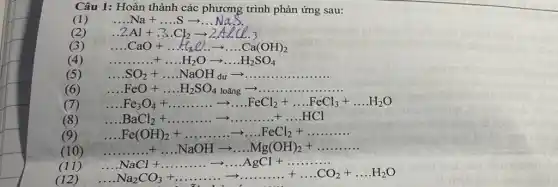 Câu 1: Hoàn thành các phương trình phản ứng sau:
(1) ldots Na+ldots Sarrow ldots NaS.
(2)
2Al+3.Cl_(2)arrow 2AlCl.3
(3) ldots CaO+ldots H_(3)Oldots arrow ldots Ca(OH)_(2)
(4) ... ... ... +ldots H_(2)Oarrow ldots ldots H_(2)SO_(4)
__ .SO_(2)+ldots ldots NaOH_(du)arrow ldots ldots ldots ldots ldots ldots ldots ldots ldots 
__ FeO+ldots ..H_(2)SO_(4loang)arrow ldots ldots ldots ldots ldots ldots ldots 
(6)
7
__ Fe_(3)O_(4)+ldots ldots ldots ldots FeCl_(2)+ldots FeCl_(3)+ldots H_(2)O
(8) __ BaCl_(2)+ldots ldots ldots ldots arrow ldots ldots ldots +CCl
.Fe(OH)_(2)+ldots ldots ldots ldots ldots FeCl_(2)+ldots ldots ldots ldots 
(9)
(10) ldots ldots ldots ldots NaOHarrow ldots Mg(OH)_(2)+ldots ldots ldots ldots 
(11)
(12)
ldots ldots NaCl+ldots ldots ldots ldots ldots ldots ldots ldots AgCl+ldots ldots ldots ldots ldots ldots ldots ..H_(2)Oldots ldots ldots ldots ldots ldots ldots ldots H_(2)O