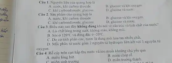 Câu 1. Nguyên liệu của quang hợp là
A. nước, khí carbon dioxide
B. glucose và khí oxygen.
C. khí carbondioxide , glucose.
D. glucose và nướC.
Câu 2. Sản phẩm của quang hợp là
B. glucose và khí oxygen.
A. nước, khí carbon dioxide.
C. khí carbondioxide , glucose.
D. glucose và nướC.
Câu 3. Điều nào sau đây không đúng khi nói về cấu trúc và tính chất của nước?
A. Là chất lỏng trong suốt, không màu không mùi.
B. Sôi ở 120^circ C và đông đặc ở -20^circ C
C. Do có tính phân cực, nước là dung môi hòa tan nhiều chất.
D. Mỗi phân tử nước gồm 2 nguyên tử hydrogen liên kết với 1 nguyên tử
oxygen.
Câu 4. Rễ cây trên cạn hấp thụ nước và ion muỗi khoáng chủ yếu qua
A. miền lông hút.
B. miền chóp rê.
C. miền sinh trưởng.
D. miền trưởng thành.