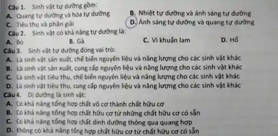 Câu 1 . Sinh vật tự dưỡng gồm:
A.Quang tự dưỡng và hóa tự dưỡng
B . Nhiệt tự dưỡng và ánh sáng tự dưỡng
c . Tiêu thụ và phân giải
D.) Ánh sáng tự dưỡng và quang tự dưỡng
Câu 2 . Sinh vật có khả nǎng tự dưỡng là:
A. Bò
B. Gà
C. Vi khuẩn lam
D. Hổ
Câu 3 . Sinh vật tự dưỡng đóng vai trò:
A. Là sinh vật sản xuất chế biến nguyên liệu và nǎng lượng cho các sinh vật khác
B. Là sinh vật sản xuất , cung cấp nguyên liệu và nǎng lượng cho các sinh vật khác
C. Là sinh vật tiêu thu , chế biến nguyên liệu và nǎng lượng cho các sinh vật khác
D. Là sinh vật tiêu thu , cung cấp nguyên liệu và nǎng lượng cho các sinh vật khác
Câu 4 . Dị dưỡng là sinh vật:
A. Có khả nǎng tống hợp chất vô cơ thành chất hữu cơ
B. Có khả nǎng tống hợp chất hữu cơ từ những chất hữu cơ có sẵn
C. Có khả nǎng tống hợp chất dinh dưỡng ; thông qua quang hợp
D . Không có khả nǎng tổng hợp chất hữu cơ từ chất hữu cơ có sẵn