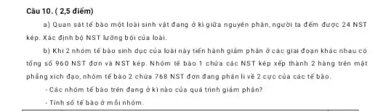 Câu 10. ( 2,5 điểm)
a) Quan sát tế bào một loài sinh vật đang ở kì giữa nguyên phân , người ta đếm được 24 NST
kép. Xác định bộ NST lưỡng bội của loài.
b) Khi 2 nhóm tế bào sinh dục của loài này tiến hành giảm phân ở các giai đoạn khác nhau có
tổng số 960 NST đơn và NST kép . Nhóm tế bào 1 chứa các NST kép xếp thành 2 hàng trên mặt
phẳng xích đạo, nhóm tế bào 2 chứa 768 NST đơn đang phân li về 2 cực của các tế bào.
- Các nhóm tế bào trên đang ở kì nào của quá trình giảm phân?
- Tính số tế bào ở mỗi nhóm.