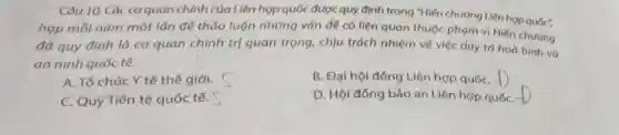 Câu 10. Các cơ quan chính của Liên hợp quốc được quy định trong "Hiến chương Liên hợp quốc",
họp mỗi nǎm một lần để thảo luận những vấn đề có liên quan thuộc phạm vi Hiến chương
đã quy định là cơ quan chính trị quan trọng, chịu trách nhiệm về việc duy tri hoà bình và
an ninh quốc tế.
A. Tổ chức Y tế thế giới.
B. Đại hội đồng Liên hợp quốC.
C. Quỳ Tiến tệ quốc tế.
D. Hội đồng bảo an Liên hợp quốC.