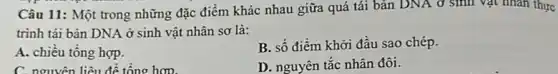 Câu 11: Một trong những đặc điểm khác nhau giữa quá tái bản DNA ở sinh vật nhân thực
trình tái bản DNA ở sinh vật nhân sơ là:
A. chiều tổng hợp.
B. số điểm khởi đầu sao chép.
C. nguyên liệu để tổng hop.
D. nguyên tắc nhân đôi.