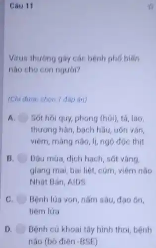 Câu 11
Virus thường gây các bệnh phó biến
nào cho con người?
(Chi được chon 1 đáp án)
A Sốt hồi quy, phong (húi), tá, lao,
thương hàn, bạch hầu uốn ván.
viêm, màng não, li,ngọ độc thịt
B Dâu múa, dịch hạch sốt vàng.
giang mai, bại liệt,cúm, viêm não
Nhật Bản, AIDS
c. Bệnh lúa von, nǎm sâu, đạo ôn,
tiêm lửa
D Bệnh củ khoai tây hình thoi, bệnh
não (bỏ điên -BSE)