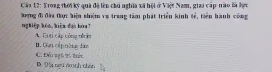 Câu 12: Trong thời kỳ quá độ lên chủ nghĩa xã hội ở Việt Nam, giai câp nào là lực
lượng đi đâu thực hiện nhiệm vụ trung tâm phát triển kinh tế, tiến hành công
nghiệp hóa, hiện đại hóa?
A. Giai câp công nhân
B. Giai cấp nông dân
C. Đội ngù trí thức
D. Đội ngù doanh nhân . N