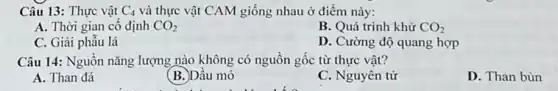 Câu 13: Thực vật C_(4) và thực vật CAM giống nhau ở điểm này:
A. Thời gian cô định CO_(2)
B. Quá trình khử CO_(2)
C. Giải phẫu lá
D. Cường độ quang hợp
Câu 14: Nguôn nǎng lượng nào không có nguồn gốc từ thực vât?
A. Than đá
(B.)Dầu mỏ
C. Nguyên tử
D. Than bùn