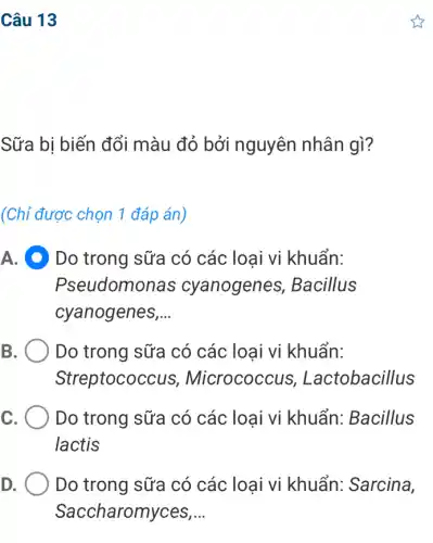 Câu 13
Sữa bị biến đổi màu đỏ bởi nguyên nhân gì?
(Chỉ được chọn 1 đáp án)
A. ( D Do trong sữa có các loại vi khuẩn:
Pseudomonas cyanogenes,, Bacillus
cyanogenes __
B	Do trong sữa có các loại vi khuẩn:
Streptococ cus, Micrococcus , Lactobacillus
C Do trong sữa có các loại vi khuẩn: Bacillus
lactis
D Do trong sữa có các loại vi khuẩn: Sarcina,
Saccharomyces, __