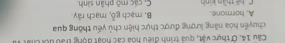 Câu 14. Ở thực vật, quá trình điêu hoa cac hoạt dọng chuyển hóa năng lượng được thực hiện chủ yếu thông qua
A. hormone.
B. mạch gỗ, mạch rây.
C hê thần kinh
C. các mô phân sinh.