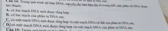 Câu 14: Trong quá trình tái bản DNA, nguyên tắc bán bảo tồn là trong mỗi một phân tử DNA được
tạo thành:
A. có hai mạch DNA mới được tổng hợp.
B. có hai mạch của phân tử DNA mẹ.
C. có một mạch DNA mới được tổng hợp và một mạch DNA có thể của phân tử DNA mẹ.
( D. có một mạch DNA mới được tổng hợp và một mạch DNA của phân tử DNA mẹ.
Câu 15: Trong quá trình tói hòa Diri An