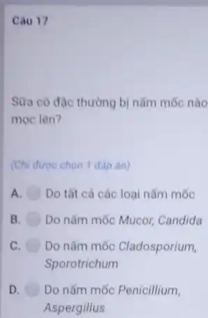 Câu 17
Sữa cô đặc thường bị nǎm mốc nào
moc lên?
(Chi được chọn 1 đáp án)
A Do tất cả các loại nấm mốc
B Do nǎm mốc Mucor Candida
c Do nấm mốc Cladosporium,
Sporotrichum
D Do nấm mốc Penicillium,