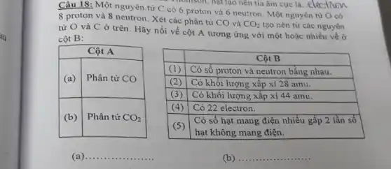 Câu 18: Một nguyên từ mathrm(C) có 6 proton và 6 neutron. Một nguyên từ mathrm(O) có 8 proton và 8 neutron. Xét các phân tử mathrm(CO) và mathrm(CO)_(2) tạo nên từ các nguyên tử mathrm(O) và mathrm(C) ở trên. Hãy nối vế cột mathrm(A) tương ứng với một hoặc nhiều vế ở cột mathrm(B) :

 multicolumn(2)(|c|)( Cột A ) 
 (a) & Phân tử mathrm(CO) 
 (b) & Phân tử mathrm(CO)_(2) 



 & multicolumn(1)(|c|)( Cột B ) 
 (1) & Có số proton và neutron bằng nhau. 
 (2) & Có khối lượng xấp xi 28 amu. 
 (3) & Có khối lượng xấp xi 44 amu. 
 (4) & Có 22 electron. 
 (5) & 
Có số hạt mang điện nhiều gấp 2 lần số 
hạt không mang điện.
 


(a)
(b)