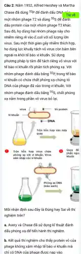 Câu 2: Nǎm 1952 , Alfred Hershey và Martha
Chase đã dùng {}^32P
để đánh dấu DNA Tải về
một nhóm phage T2 và dùng 35_(S) để đánh
dấu protein của một nhóm phage T2 khác
Sau đó, họ dùng hai nhóm phage này cho
nhiễm riêng rẽ vào E.coli với số lượng lớn
virus. Sau một thời gian gây nhiễm thích hợp
họ dùng lực khuấy tách vỏ virus còn bám bên
ngoài ra khỏi tế bào vi khuẩn. Sử dụng
phương pháp ly tâm để tách riêng vỏ virus với
tế bào vi khuẩn rồi phân tích phóng xạ. Với
nhóm phage đánh dấu bằng {}^32P , trong tế bào
vi khuẩn có chứa chất phóng xạ chứng tỏ
DNA của phage đã vào trong vi khuẩn . Với
nhóm phage đánh dấu bằng 35S, chất phóng
xạ nằm trong phần vỏ virus bỏ lại.
Trộn hỗn hợp virus chứa
phóng xạ với vi khuẩn. Virus
xâm nhập vào vi khuẩn