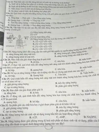 Câu 22. Phát biểu nào sau đây đúng khi nói về sinh vật tự dưỡng và dị dưỡng?
A. Sinh vật tự dưỡng bao gồm có vi khuẩn cộng sinh trong ruột mối, tảo thực vật,... __
B. Sinh vật dị dưỡng có thể tích lũy nǎng lượng thông qua quá trình hóa tổng hợp.
C. Nấm được xem là sinh vật dị dưỡng loại tiêu thụ.
D. Bò được xem là sinh vật dị dưỡng loại phân giải.
Câu 23. Quá trình chuyển hóa nǎng lượng trong sinh giới gồm các giai đoạn và diễn ra theo trình tự nào
sau đây?
A. Tổng hợp - Phân giải -Huy động nǎng lượng
B. Quang hợp - Hô hấp ­­­­→ Tổng hợp ATP
C. Tích lũy nǎng lượng - Giải phóng nǎng lượng ­­­­→ Huy động nǎng lượng
D. Quang hợp -Hô hấp ­­­­→ Huy động nǎng lượng
Câu 24. Tập hợp thứ tự nào sau đây thể hiện đúng dòng nǎng lượng trong quá trình chuyển hóa nǎng
lượng ở sinh giới
(1) Nǎng lượng ánh sáng
(2) ATP
(3) Các hoạt động sống
(4) Nǎng lượng hóa học tích lũy trong các chất hữu cơ
A. (1)-(2)-(4)-(3)
B. (2)-1)-(3)-(4)
C. (1)-(4)-(2)-(3)
D. (2)-(4 )-(1)-(3) Câu 25. Nǎng lượng khởi đầu cung cấp cho sinh giới bắt nguồn từ nguồn nǎng lượng nào dưới đây?
A. nǎng lượng ánh sáng mặt trời.
B. nǎng lượng gió nǎng lượng sóng.
C. nǎng lượng nhiệt từ mặt trời.
D. nǎng lượng trong các chất hóa họC.
A. đồng hóa.
B. dị hóa. Câu 27. Ở thực vật, quá trình biến đổi nǎng lượng ánh sáng mặt trời thành nǎng lượng hóa học trong các
C. tiêu hóa.
chất hữu cơ là quá trình.
B. quang hợp.
C. tiêu hóa.
D. tuần hoàn.
chị Câu 26. Bản chất của giai đoạn tổng hợp là quá trình
D. tuần hoàn.
A. hô hấp.
Câu 28. Để tạo ra nǎng lượng ở thực vật và động vật đều có chung quá trình nào sau đây?
D. Tuần hoàn.
A. Hô hấp.
B. Quang hợp.
C. Tiêu hóa.
Câu 29. Quá trình biến đổi nǎng lượng ánh sáng mặt trời thành nǎng lượng hóa học trong các chất hi
cơ sẽ đi kèm với sự __
A. giải phóng nǎng lượng.
B. tích lũy nǎng lượng.
C. tạo ra nǎng lượng.
D. phân giải nǎng lượng
Câu 30. Bản chất của giai đoạn phân giải là
C. tiêu hóa.
D. tuần hoàn.
B. dị hóa.
A. đồng hóa.
Câu 31. Ở động vật, quá trình biến đổi nǎng lượng hóa học trong các chất hóa học thành nǎng lư
ATP là quá trình
D. tuần hoàn.
A. quang hợp.
B. hô hấp.
C. tiêu hóa.
Câu 32. Sự phân giải các chất hóa học ở giai đoạn phân giải sẽ đi kèm với sự
B. tích lũy nǎng lượng.
A. giải phóng nǎng lượng.
D. phân giải nǎng lượng
C. tạo ra nǎng lượng.
Câu 33. Nǎng lượng mà các sinh vật sử dụng trong hầu hết các hoạt động sống là
D. NADPH.
A. ADP.
B. ATP.
C. AMP.
Câu 34. Nǎng lượng được giải phóng trong dị hoá một phân sẽ được sinh vật sử dụng, phần còn I
ùng cũng đều thoát ra ngoài dưới dạng nǎng lượng nào sau đây?