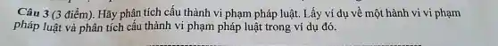 Câu 3 (3 điểm)). Hãy phân tích cấu thành vi phạm pháp luật . Lấy ví du về một hành vi vi phạm
pháp luật và phân tích cấu thành vi phạm pháp luật trong ví dụ đó.