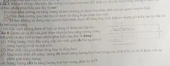 Câu 3. Khi nói về các dấu hiệu đặc trưng của quá trình trao đổi chất và chuyên hoa nang có bao nhiêu phát biểu sau đây là sai?
(1) Chất dinh dưỡng và năng lượng từ môi trường sẽ được thu nhận nhờ các cơ quan chuyên biệt
(2) Chất dinh dưỡng qua hấp thụ sẽ được sử dụng hoàn toàn trực tiếp.
(3) Tế bào không sử dụng các nguyên liệu nhận dược để tổng hợp chất hữu cơ tham gia kiến tạo cơ thể và tự trạt năng lượng
(4) Các chất không được tế bào sử dụng sẽ được tái hấp thu.
Câu 4. Quan sát sơ đồ các giai đoạn chuyển hóa năng lượng trong inh giới và cho biết có bao nhiêu phát biểu sau đây là đúng?
(1) Năng lượng khởi đầu cung cấp cho sinh giới (I) bắt nguồn từ năng lượng nhiệt từ mặt trời.
(2) Bản chất của giai đoạn tổng hợp là dồng hoá.
(3) Quá trình biến đổi năng lượng (I) thành năng lượng hóa học trong các chất hữu cơ sẽ di kèm với sự phân giải năng lượng.
(4) Năng lượng (II) là năng lượng hóa học trong phân tử ATP.