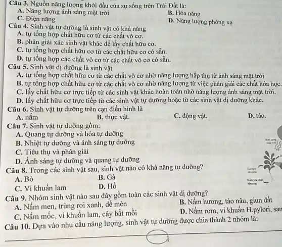 Câu 3. Nguồn nǎng lượng khởi đầu của sự sống trên Trái Đất là:
A. Nǎng lượng ánh sáng mặt trời
B. Hóa nǎng
C. Điện nǎng
D. Nǎng lượng phóng xạ
Câu 4. Sinh vật tự dưỡng là sinh vật có khả nǎng
A. tự tổng hợp chất hữu cơ từ các chất vô cơ.
B. phân giải xác sinh vật khác để lấy chất hữu cơ.
C. tự tổng hợp chất hữu cơ từ các chất hữu cơ có sẵn.
D. tự tổng hợp các chất vô cơ từ các chất vô cơ có sẵn.
Câu 5. Sinh vật dị dưỡng là sinh vật
A. tự tổng hợp chất hữu cơ từ các chất vô cơ nhờ nǎng lượng hấp thụ từ ánh sáng mặt trời
B. tự tổng hợp chất hữu cơ từ các chất vô cơ nhờ nǎng lượng từ việc phân giải các chất hóa họC.
C. lấy chất hữu cơ trực tiếp từ các sinh vật khác hoàn toàn nhờ nǎng lượng ánh sáng mặt trời.
D. lấy chất hữu cơ trực tiếp từ các sinh vật tự dưỡng hoặc từ các sinh vật dị dưỡng kháC.
Câu 6. Sinh vật tự dưỡng trên cạn điển hình là
A. nấm
B. thực vật.
C. động vật.
D. tảo.
Câu 7.Sinh vật tự dưỡng gôm:
A. Quang tự dưỡng và hóa tự dưỡng
B. Nhiệt tự dưỡng và ánh sáng tự dưỡng
C. Tiêu thụ và phân giải
D. Ánh sáng tự dưỡng và quang tự dưỡng
Câu 8.Trong các sinh vật sau, sinh vật nào có khả nǎng tự dưỡng?
A. Bò
B. Gà
C. Vi khuẩn lam
D. Hổ
Câu 9. Nhóm sinh vật nào sau đây gồm toàn các sinh vật dị dưỡng?
B. Nấm hương, tảo nâu, giun đất
A. Nấm men, trùng roi xanh, dế mèn
C. Nấm mốc, vi khuẩn lam, cây bắt mỗi
D. Nấm rơm, vi khuẩn H.pylori, san
Câu 10. Dựa vào nhu cầu nǎng lượng . sinh vật tự dưỡng được chia thành 2 nhóm là: