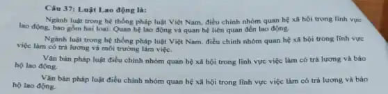 Câu 37: Luật Lao động là:
Ngành luật trong hệ thống pháp luật Việt Nam, điều chỉnh nhóm quan hệ xã hội trong lĩnh vực
lao động, bao gồm hai loại: Quan hệ lao động và quan hệ liên quan đến lao động.
Ngành luật trong hệ thống pháp luật Việt Nam. điều chỉnh nhóm quan hệ xã hội trong lĩnh vực
việc làm có trả lương và môi trường làm việc.
Vǎn bản pháp luật điều chỉnh nhóm quan hệ xã hội trong lĩnh vực việc làm có trả lương và bảo
hộ lao động.
Vǎn bản pháp luật điều chinh nhóm quan hệ xã hội trong lĩnh vực việc làm có trả lương và bảo
hộ lao động.