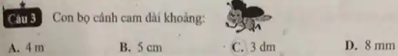 Câu 3
Con bọ cánh cam dài khoảng:
A. 4 m
B. 5 cm
C. 3 dm
D. 8 mm