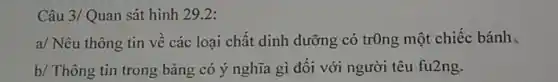 Câu 3/Quan sát hình 29.2:
a/ Nêu thông tin về các loại chất dinh dưỡng có trOng một chiếc bánh,
b/ Thông tin trong bảng có ý nghĩa gì đối với người têu fu2ng.