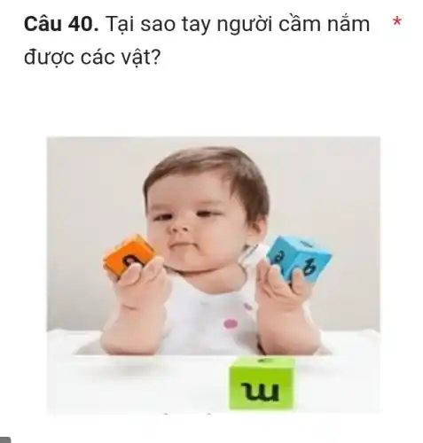 Câu 40. Tại sao tay người cầm nắm *
được các vật?